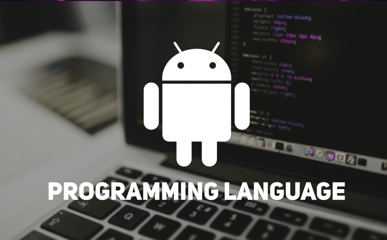 programming languages